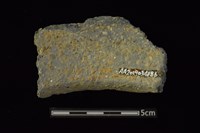 陶罐藏品圖，第2張