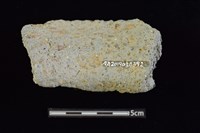 陶罐藏品圖，第2張