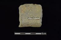 陶罐藏品圖，第2張