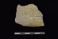 陶罐藏品圖，第2張