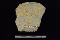 陶罐藏品圖，第2張