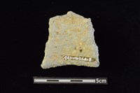 陶罐藏品圖，第2張