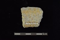 陶罐藏品圖，第2張