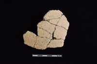 陶片藏品圖，第1張