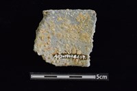 陶罐藏品圖，第2張