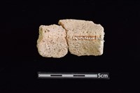 陶罐藏品圖，第2張