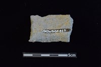 陶罐藏品圖，第2張