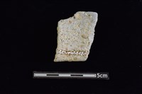 陶罐藏品圖，第2張