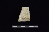 陶罐藏品圖，第2張