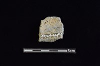 陶罐藏品圖，第2張