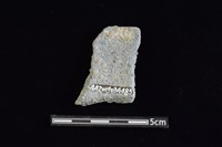 陶罐藏品圖，第2張