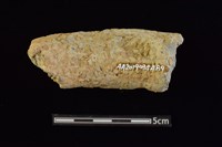 陶罐藏品圖，第2張