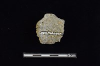 陶罐藏品圖，第2張