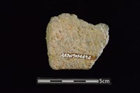 陶罐藏品圖，第2張