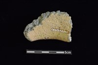 陶罐藏品圖，第2張