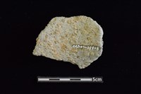 陶罐藏品圖，第2張