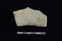 陶罐藏品圖，第2張