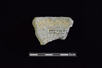 陶片藏品圖，第2張