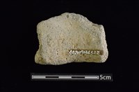 陶甕藏品圖，第2張