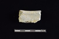 陶缽藏品圖，第2張