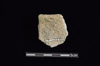 陶缽藏品圖，第2張