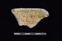 陶缽藏品圖，第2張