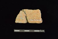 陶罐藏品圖，第2張