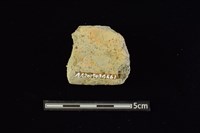 陶罐藏品圖，第2張