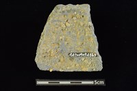 圈足藏品圖，第2張