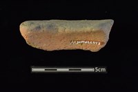 圈足藏品圖，第2張