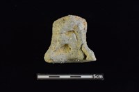 陶蓋及陶蓋鈕藏品圖，第2張