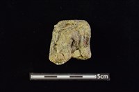 陶蓋及陶蓋鈕藏品圖，第2張