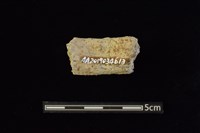 陶把及陶鈕藏品圖，第2張