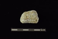 陶把及陶鈕藏品圖，第2張