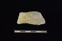 陶把及陶鈕藏品圖，第2張