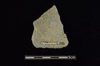 陶片藏品圖，第1張