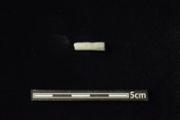 陶環藏品圖，第1張