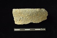 陶容器藏品圖，第1張