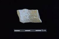 陶瓶藏品圖，第2張