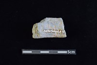 陶罐藏品圖，第2張