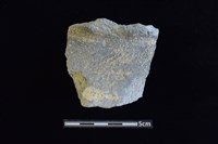 陶罐藏品圖，第1張