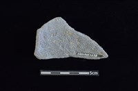 陶片藏品圖，第2張