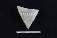 陶片藏品圖，第1張