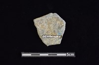 陶片藏品圖，第2張