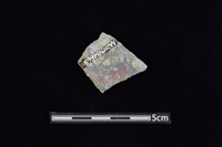 陶片藏品圖，第2張