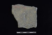 陶片藏品圖，第2張