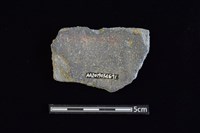 陶片藏品圖，第2張