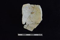 束腰陶罐藏品圖，第2張