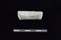 陶缽藏品圖，第2張