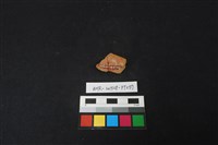 陶片藏品圖，第2張